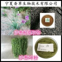 野山花粉廠家批發價格表與網絡游戲服務的結合